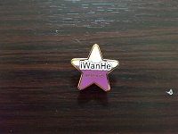 Iwanhe Wedding Hall Star Lapel PIn