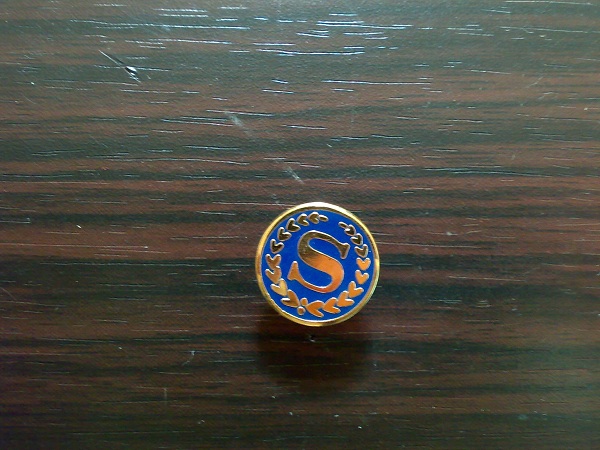 medal pin 20.jpg