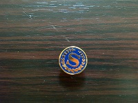 Letter S Enamel Pin